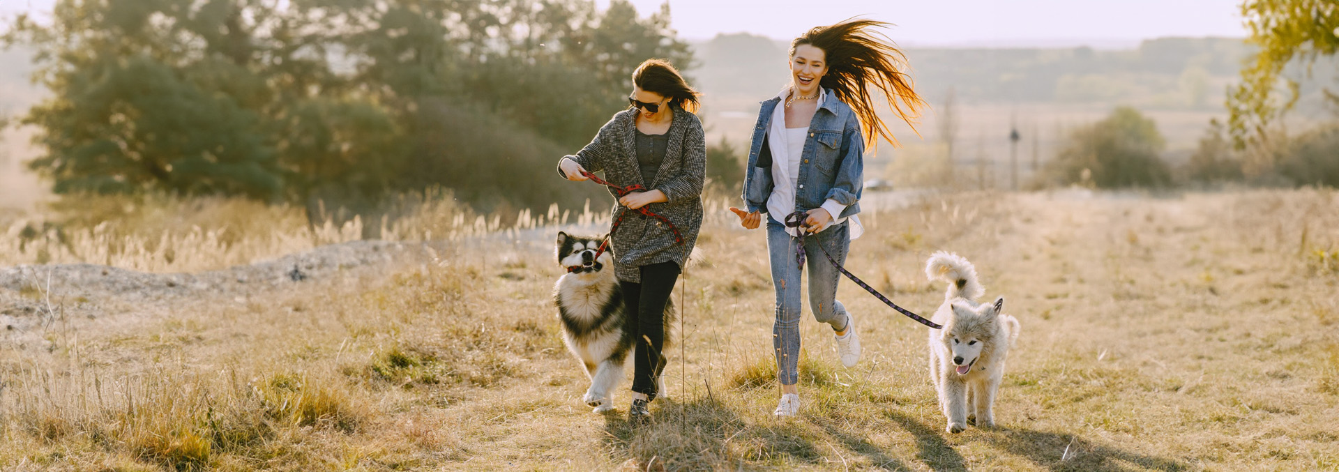 A family walking their dogs on a leash around the scenic landscape at Texas Lakes Ranch RV Park in Aubrey, TX. 